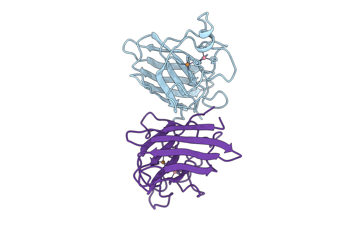1COB image