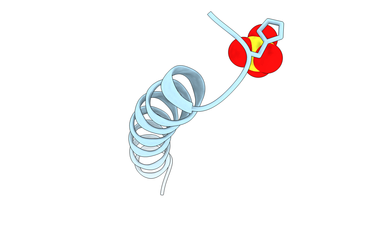 1coi image