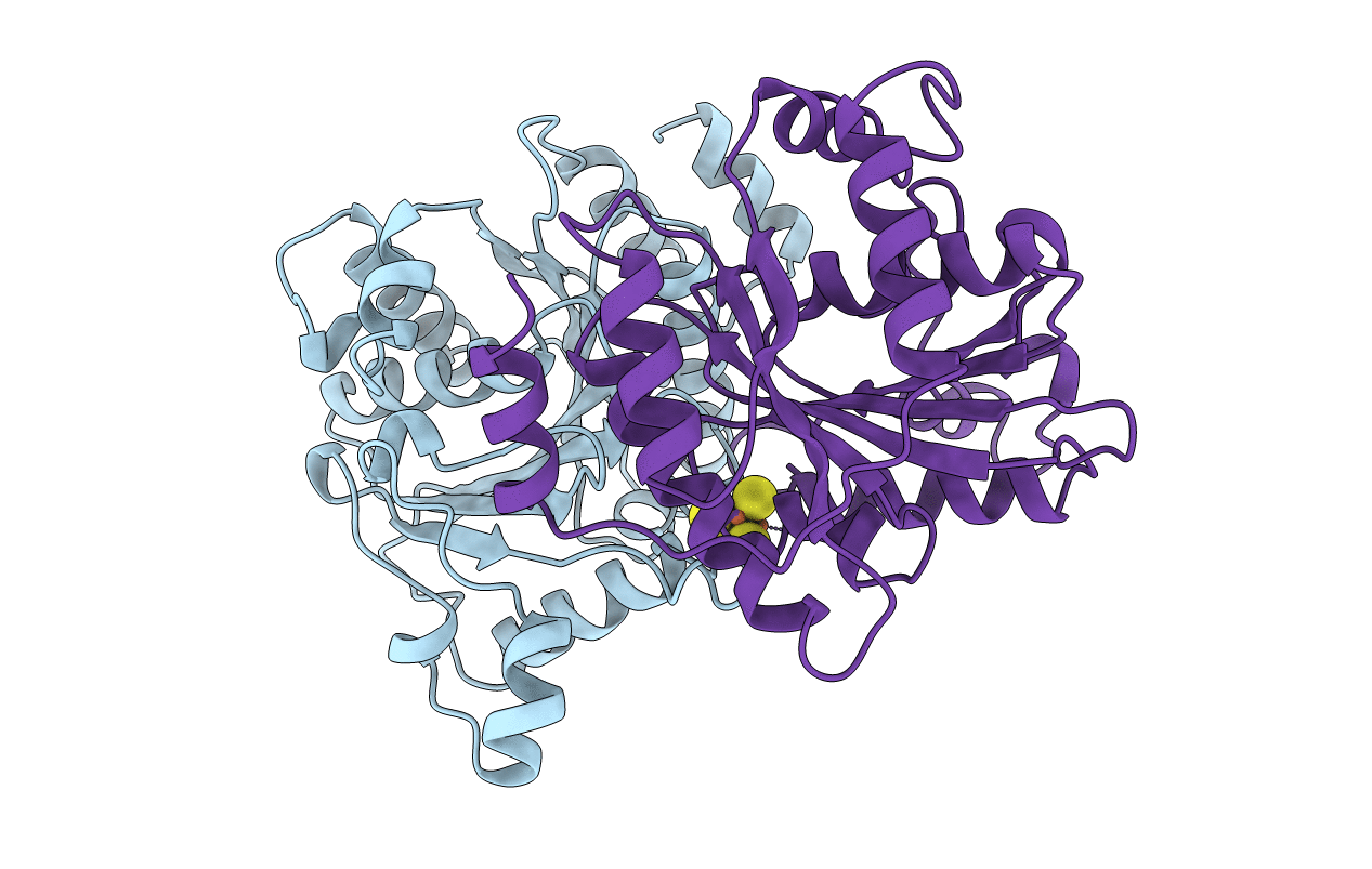 1CP2 image