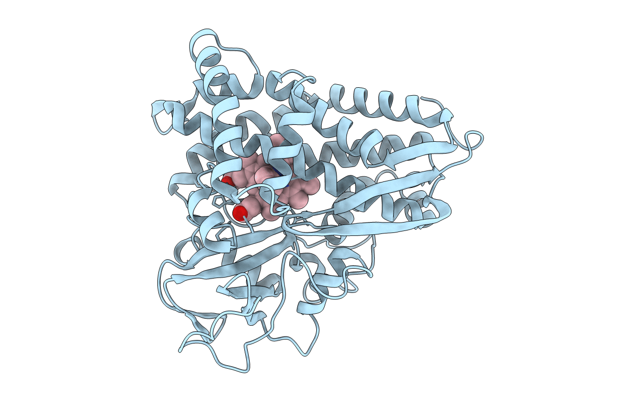 1CP4 image