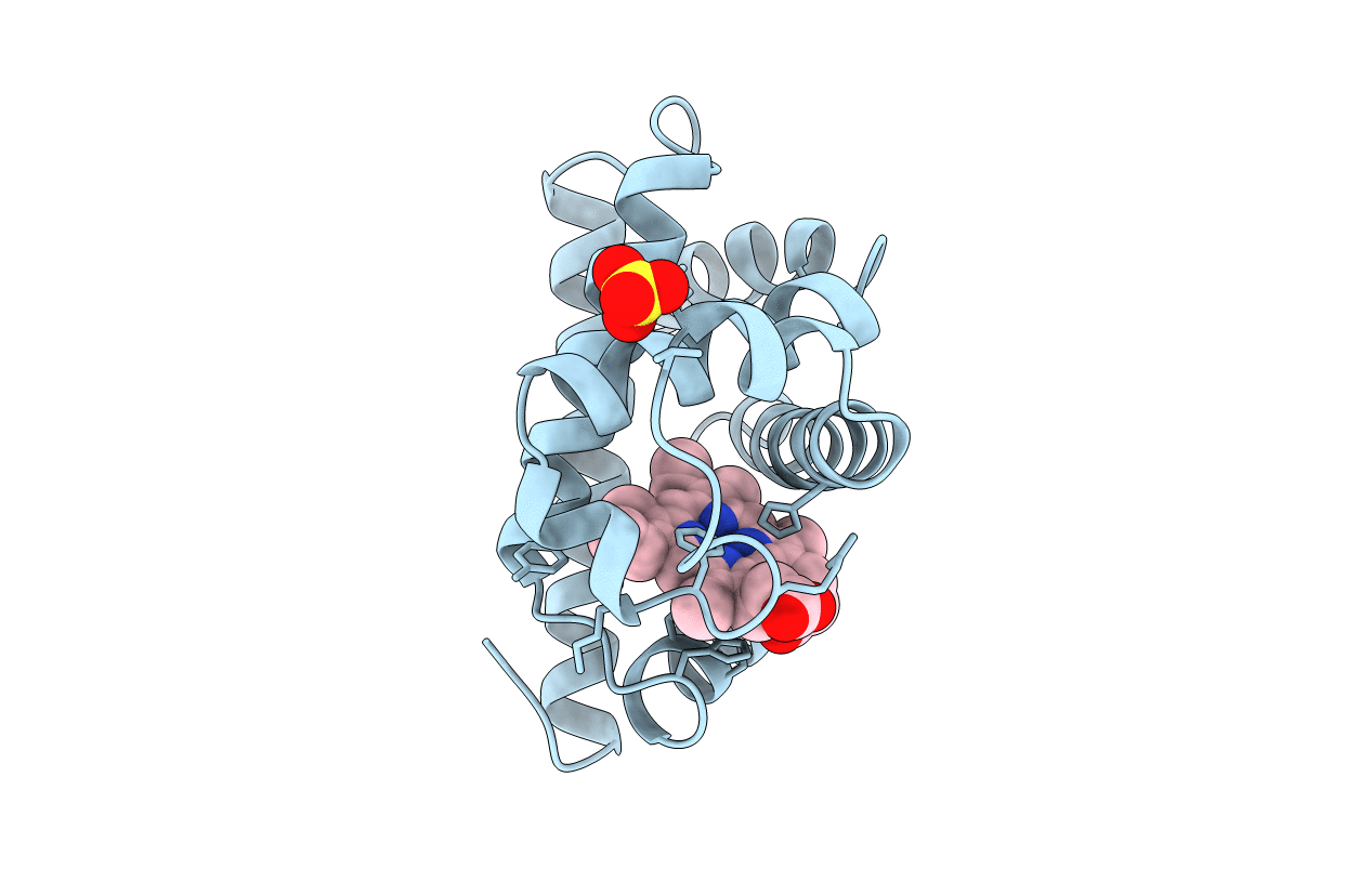 1CP5 image