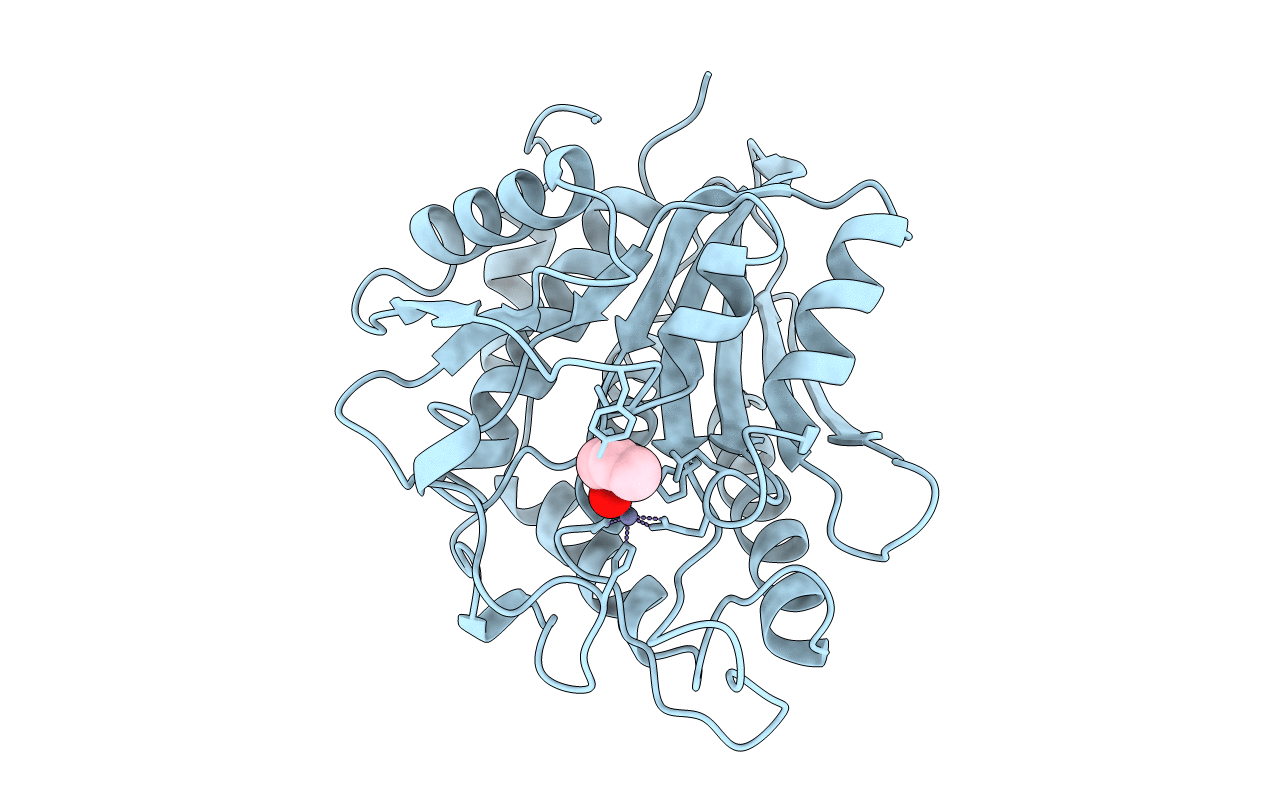 1CP6 image