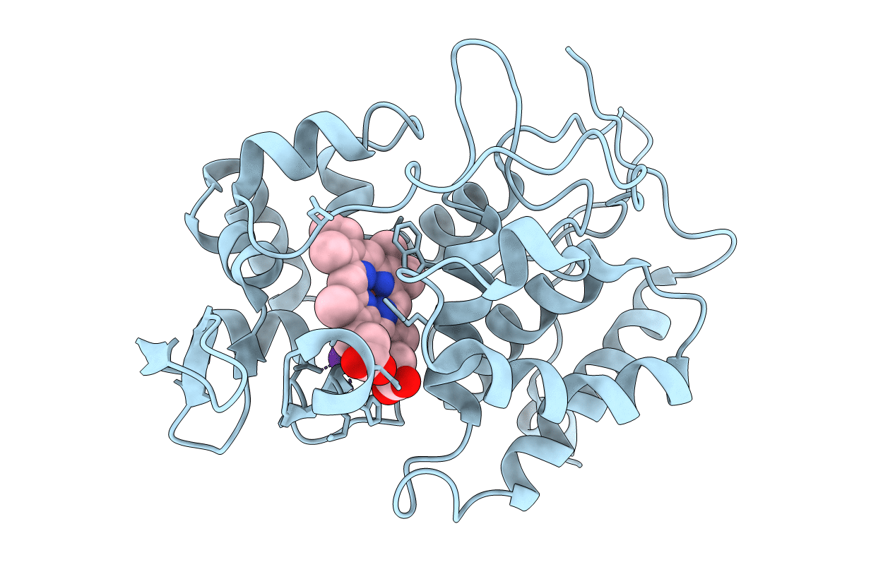 1CPG image
