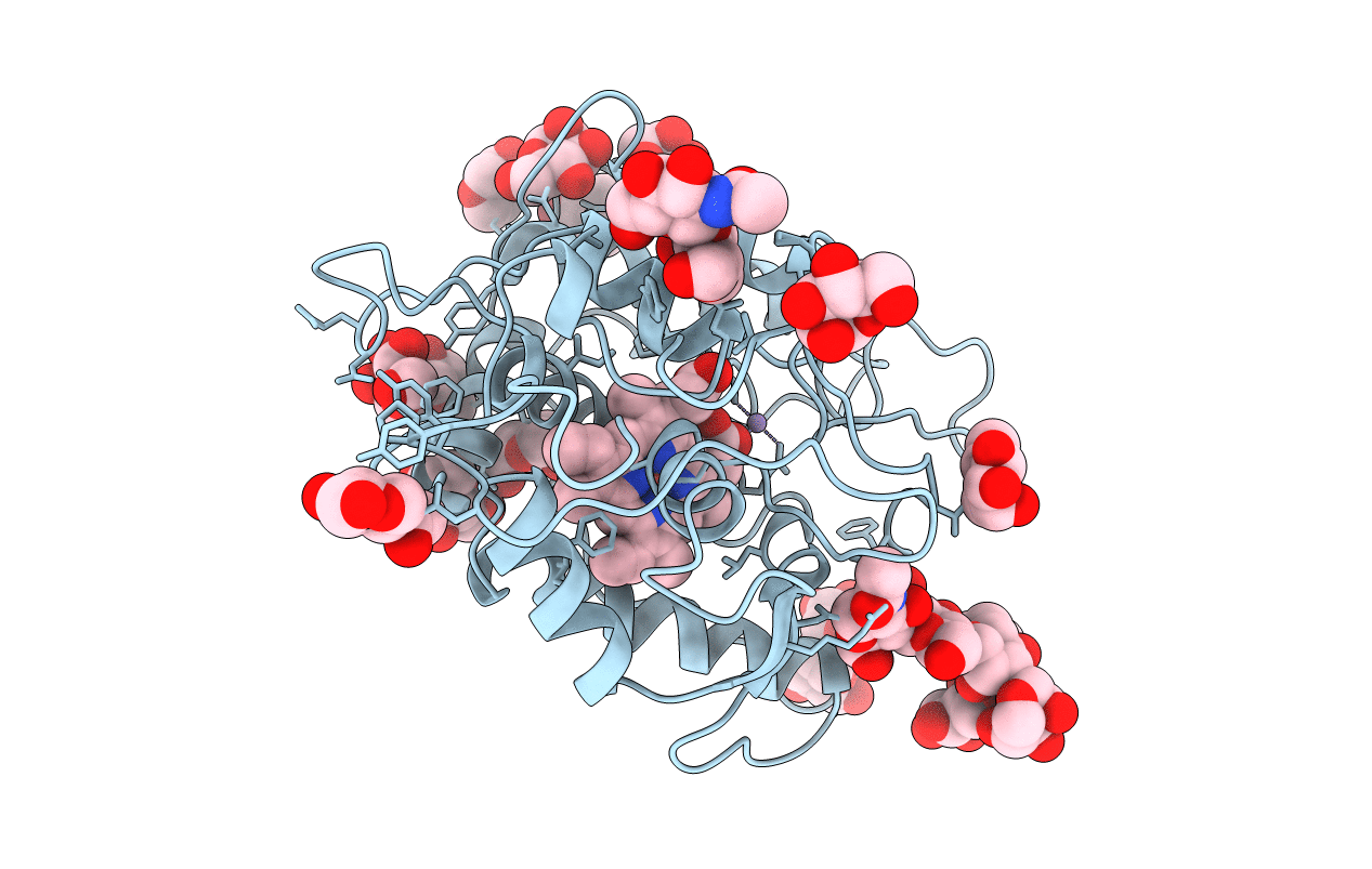 1CPO image