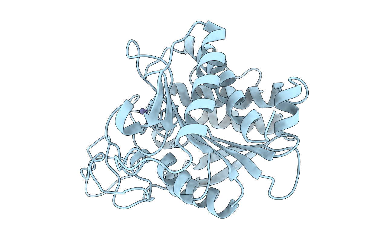 1CPX image