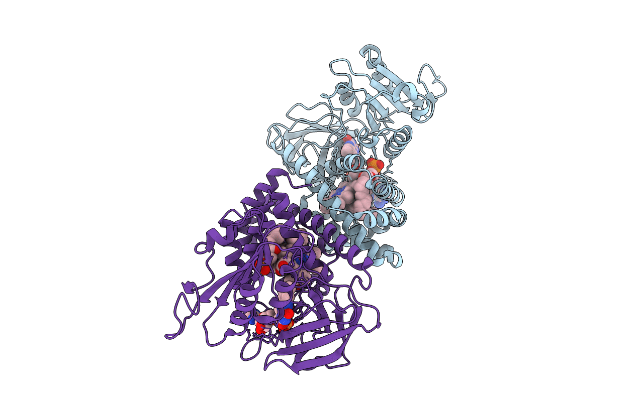 1CQX image