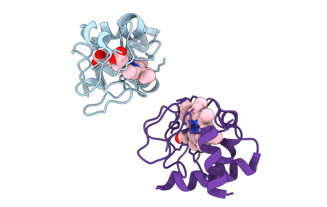 1CRC image