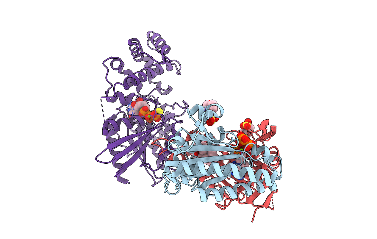 1CS4 image