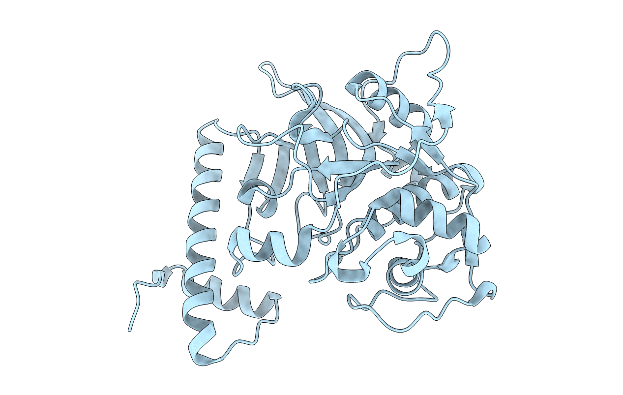 1CS8 image
