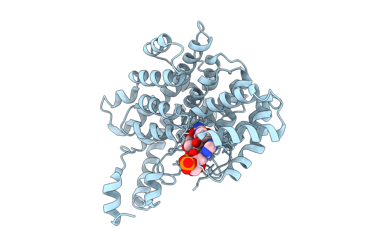 1CSH image