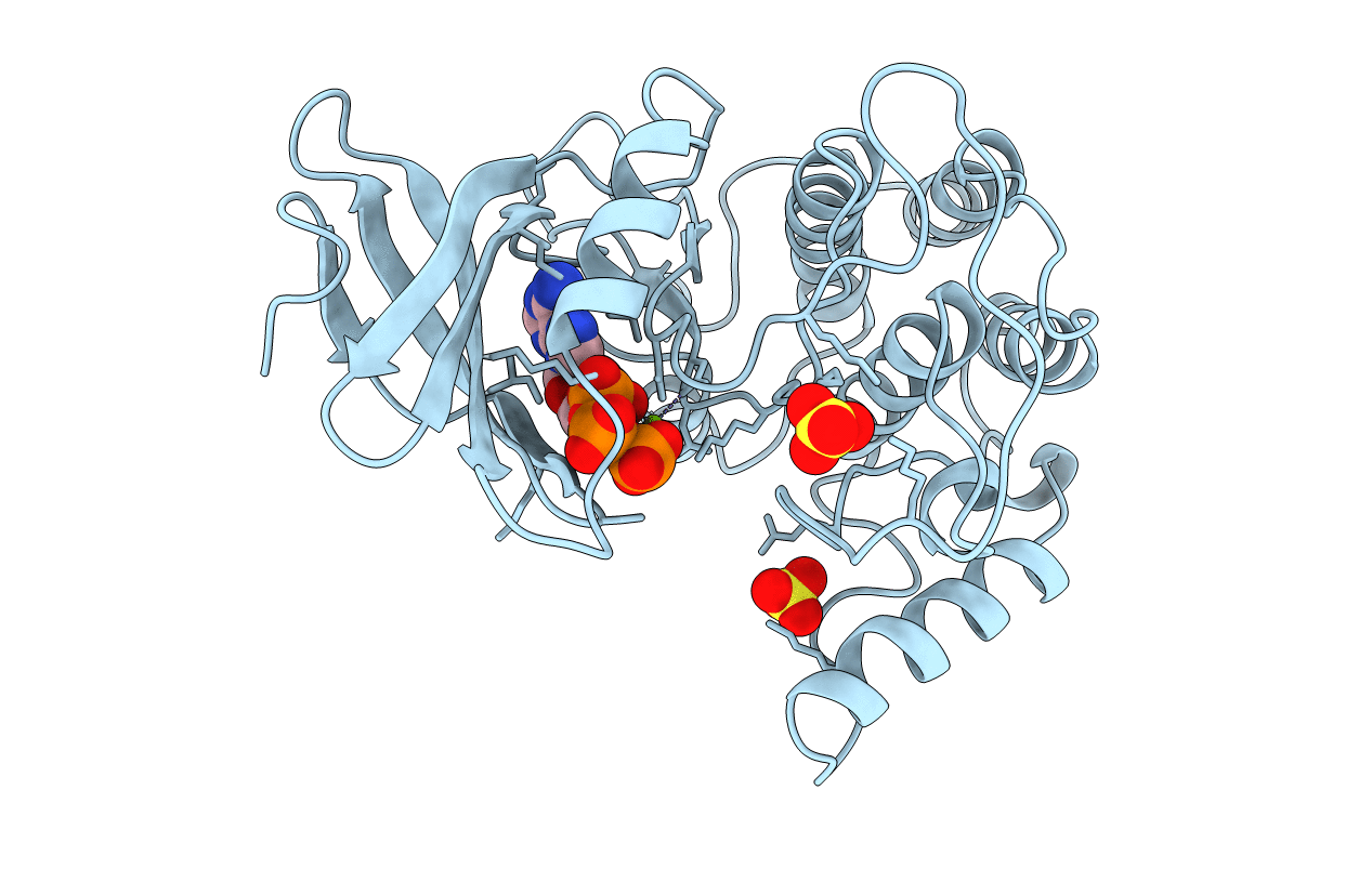 1CSN image