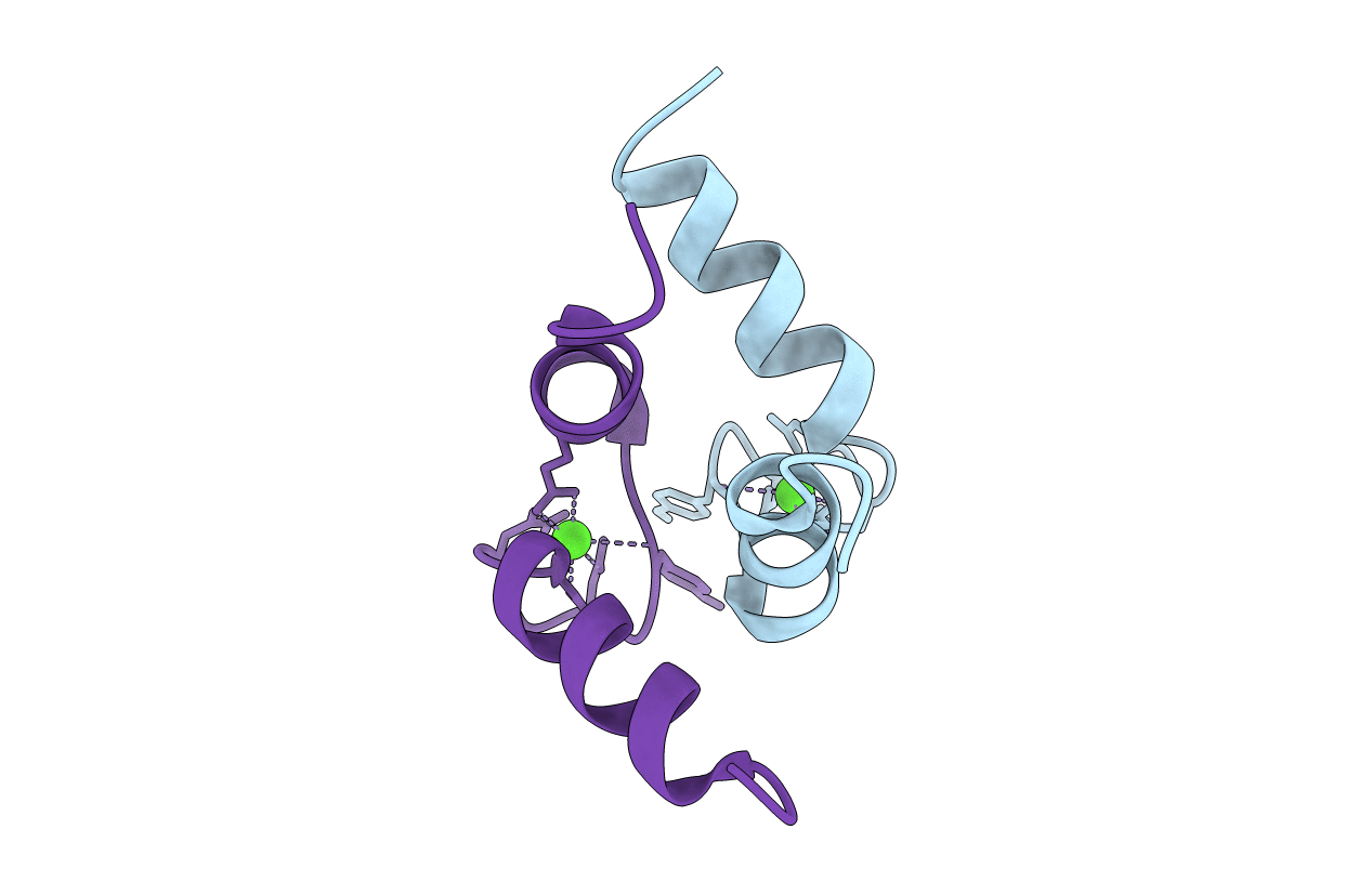 1CTA image