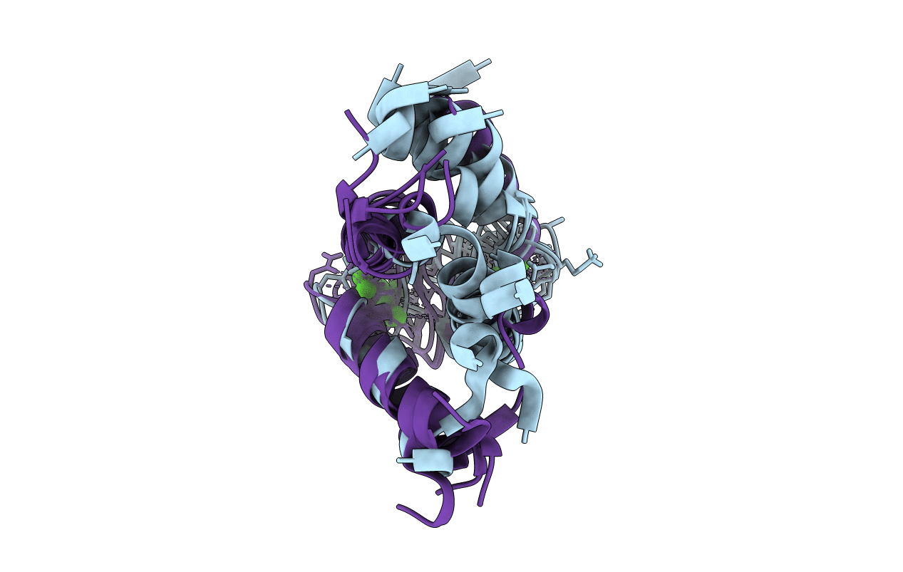 1CTD image