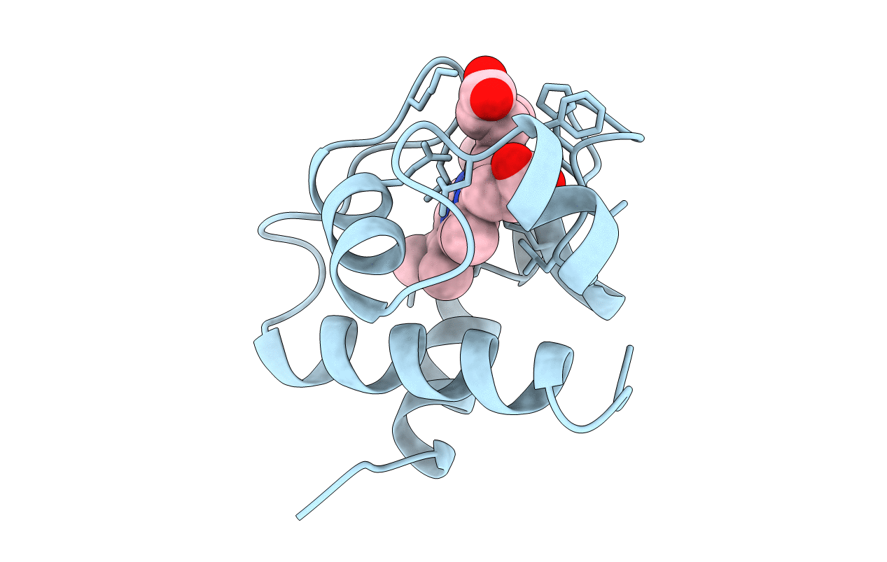 1ctj image