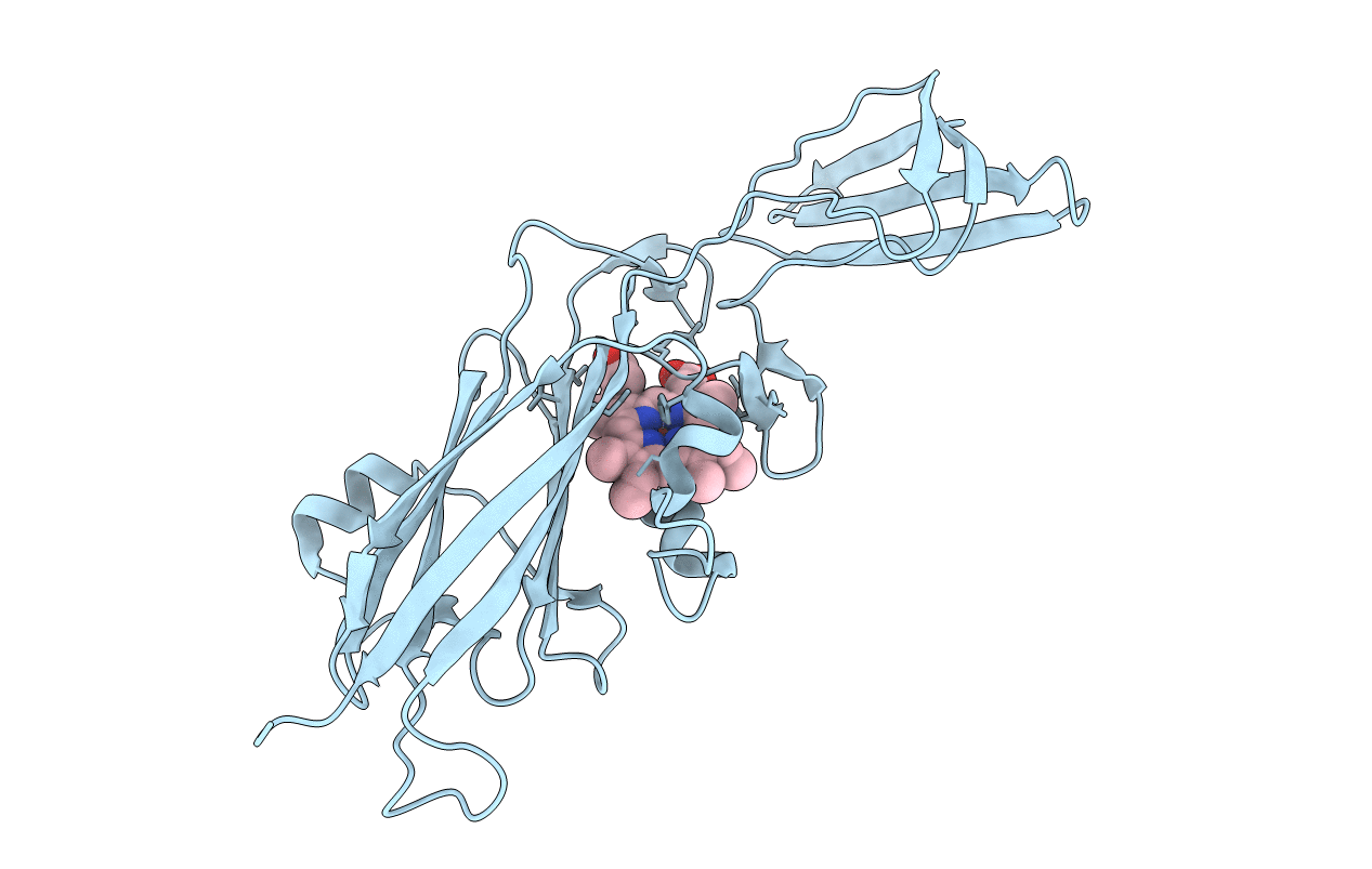 1CTM image