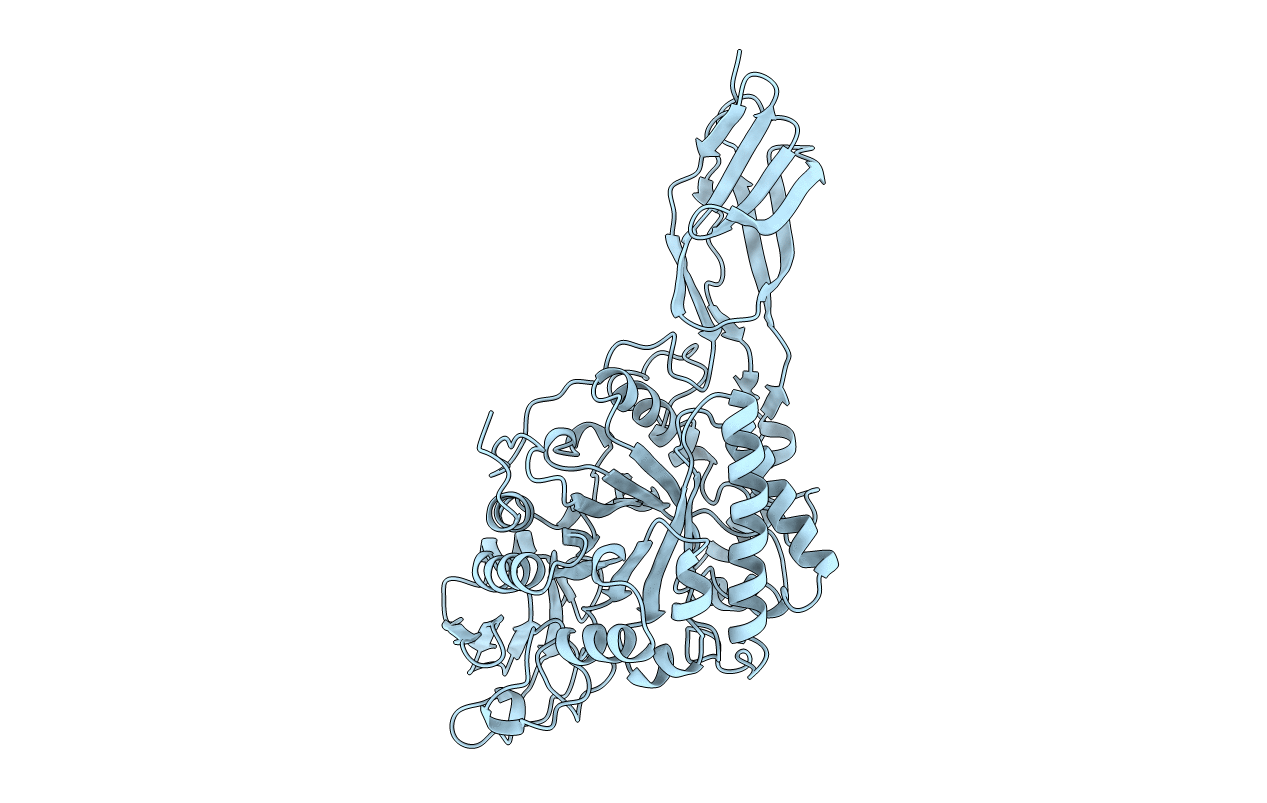 1CTN image