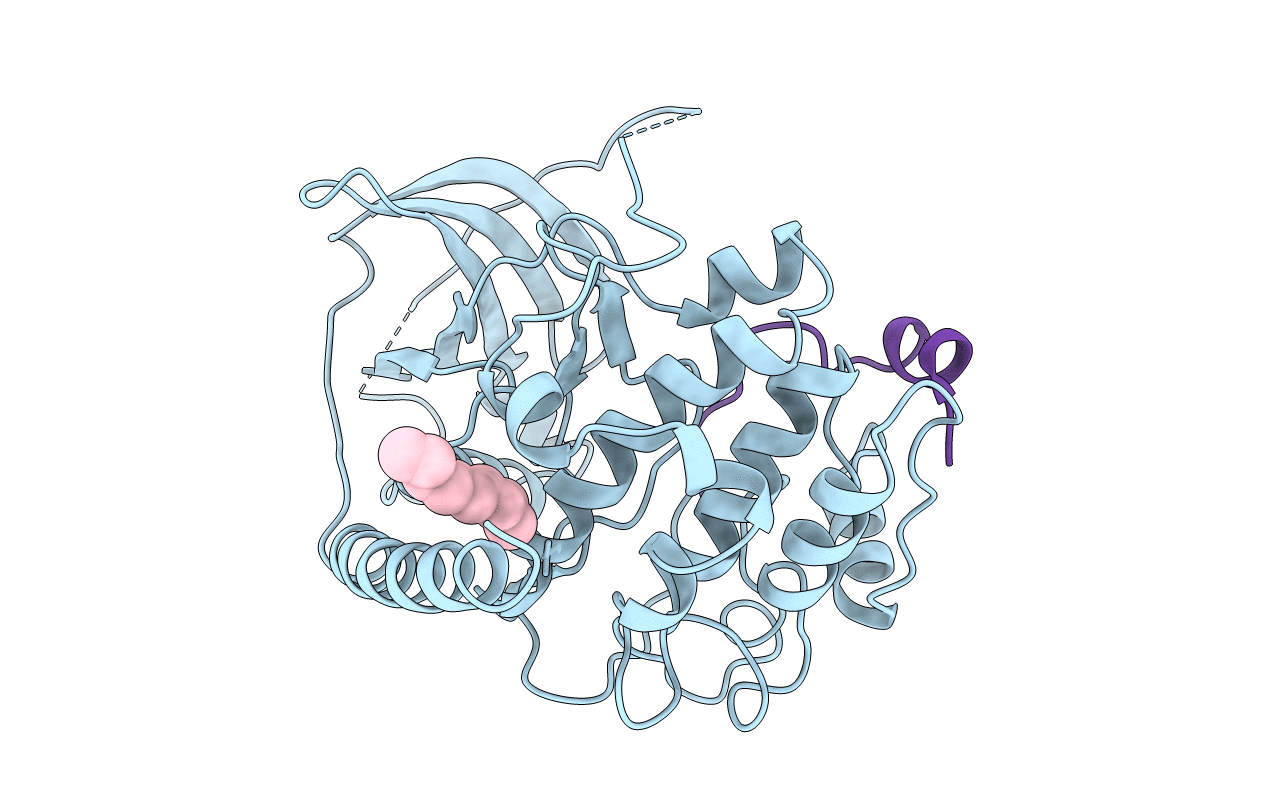 1CTP image