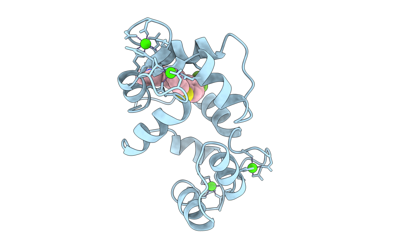 1CTR image