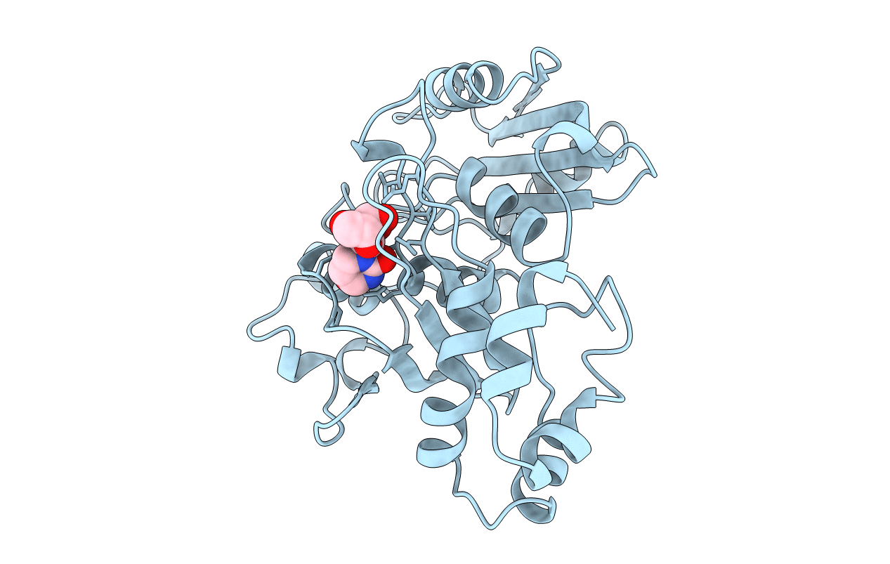 1CTU image