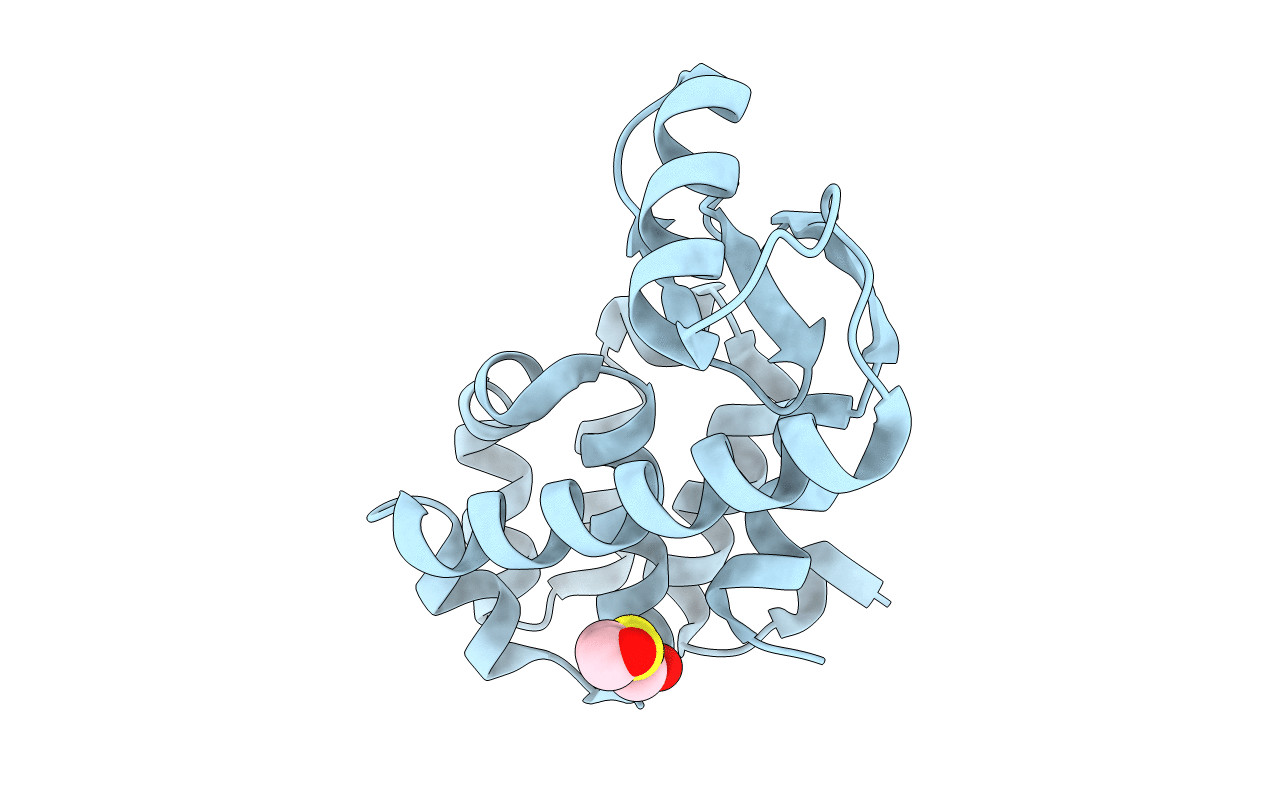1CV5 image