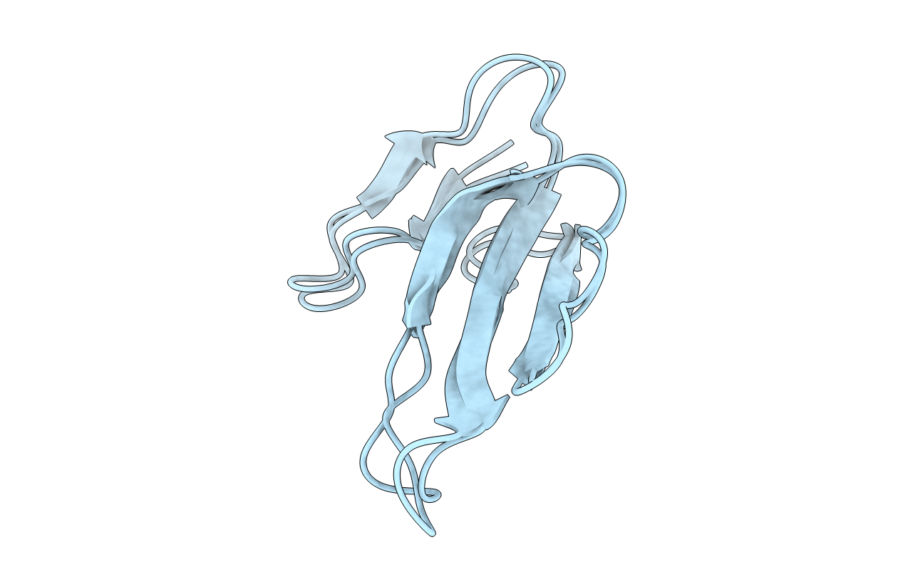 1CVO image