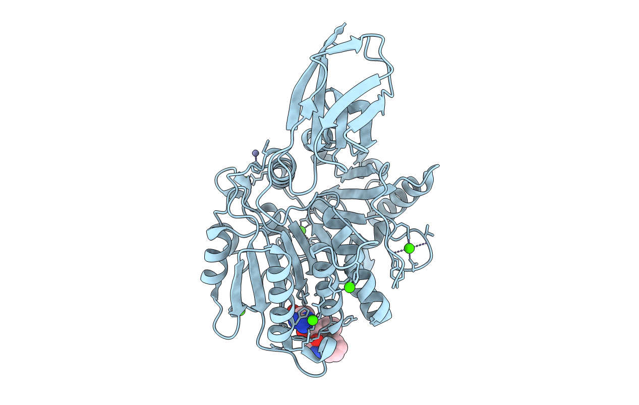 1CVR image