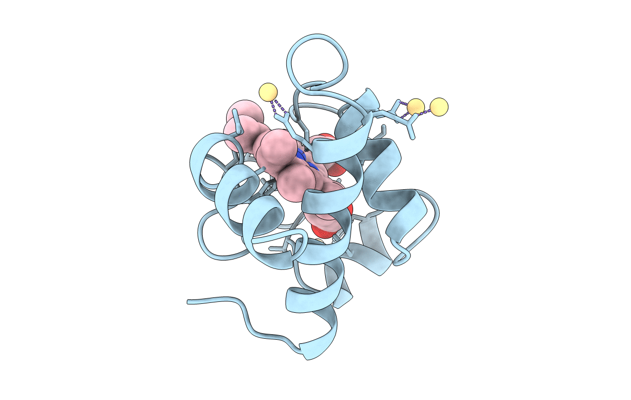 1CYI image