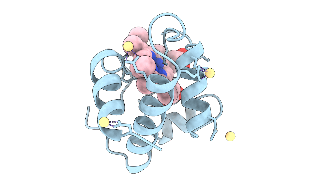 1CYJ image