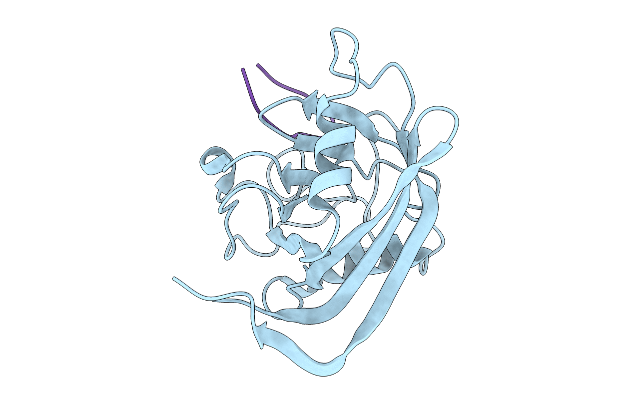 1CYN image