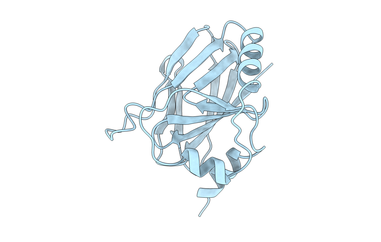 1CYW image