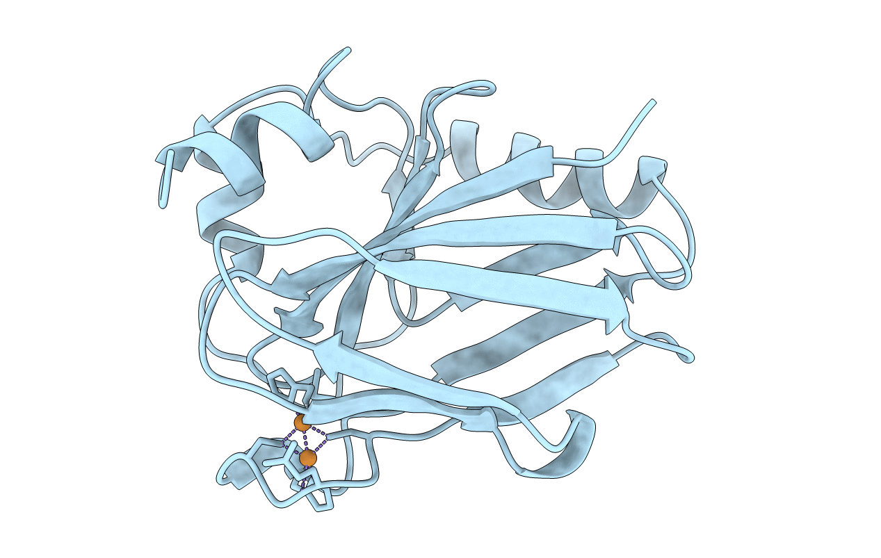 1CYX image