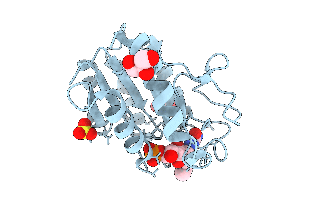 1CZH image