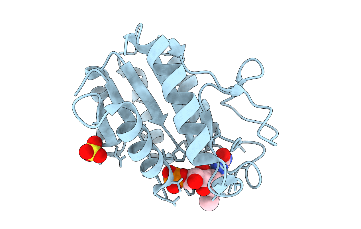 1CZO image