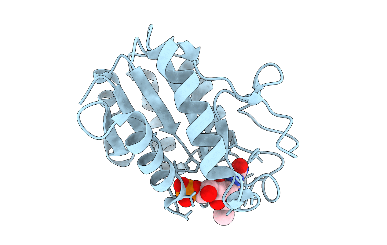 1D03 image