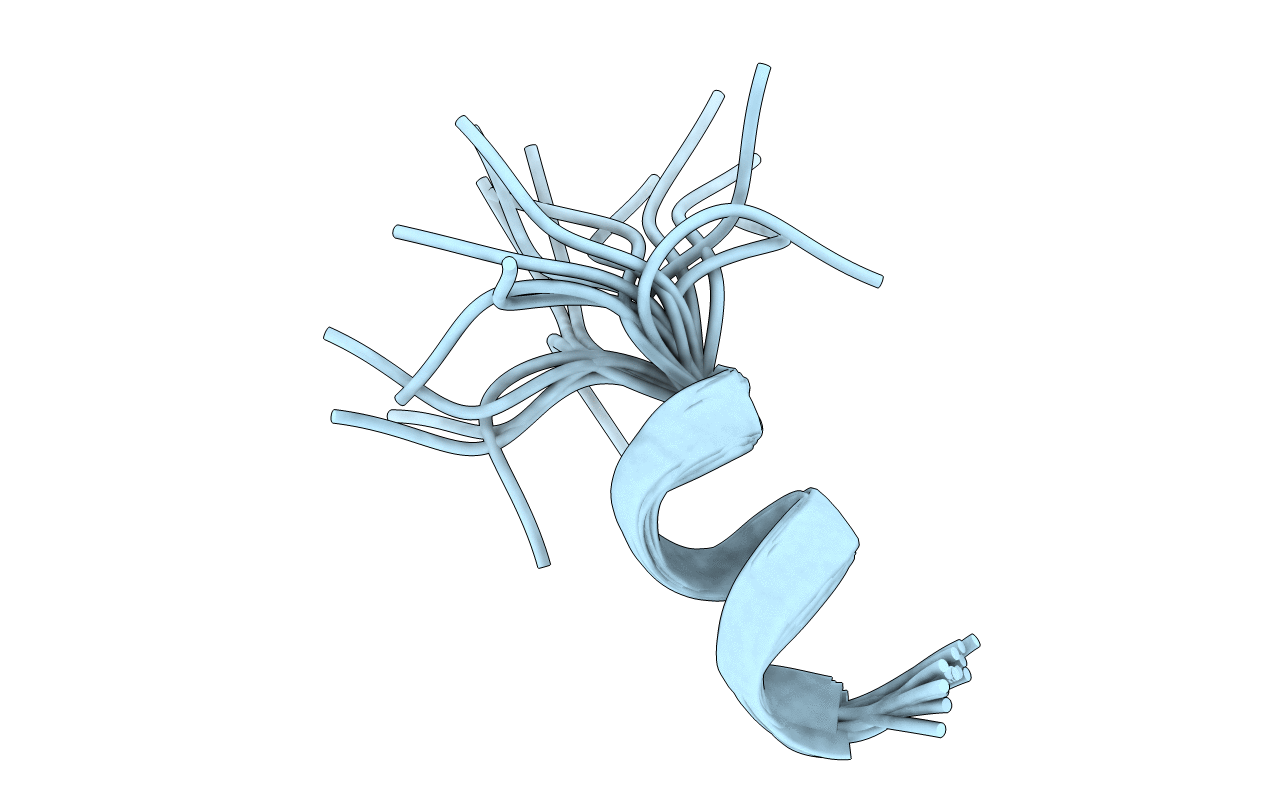 1D1E image