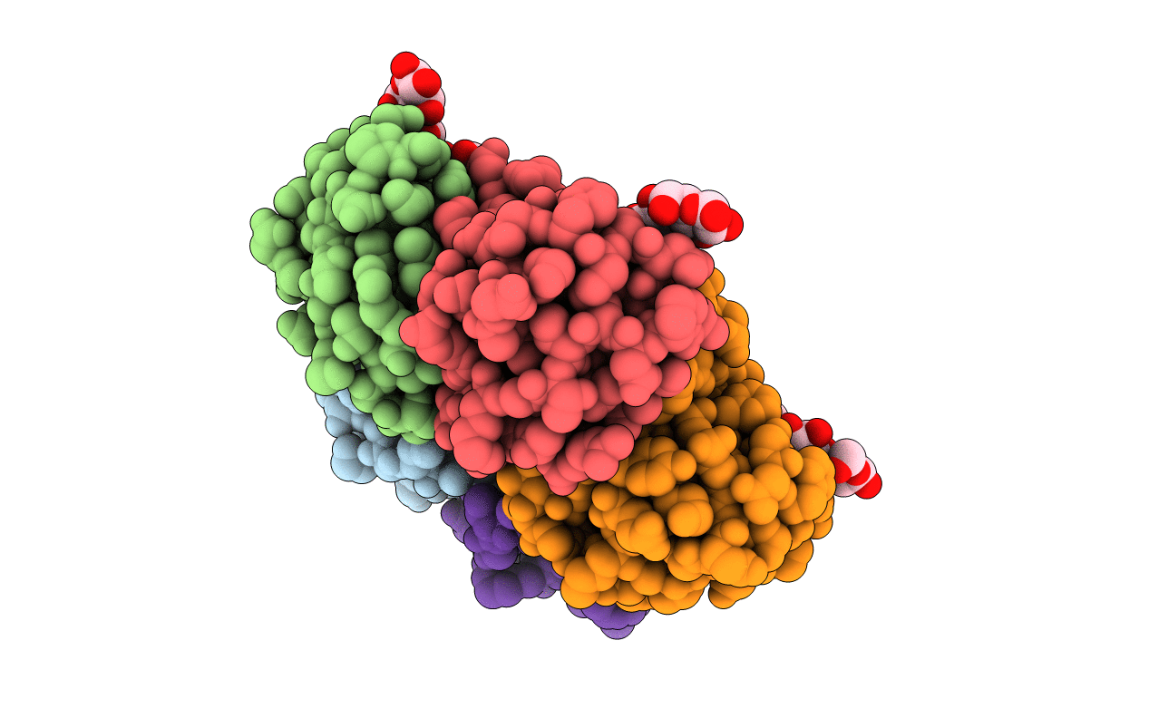 1D1K image