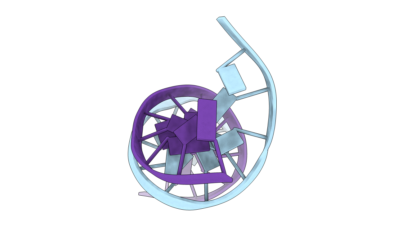 1D29 image