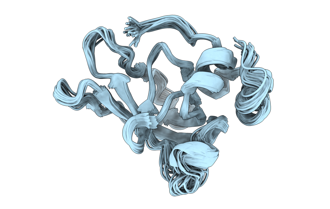 1D2B image