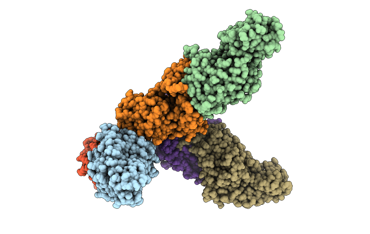 1D2R image