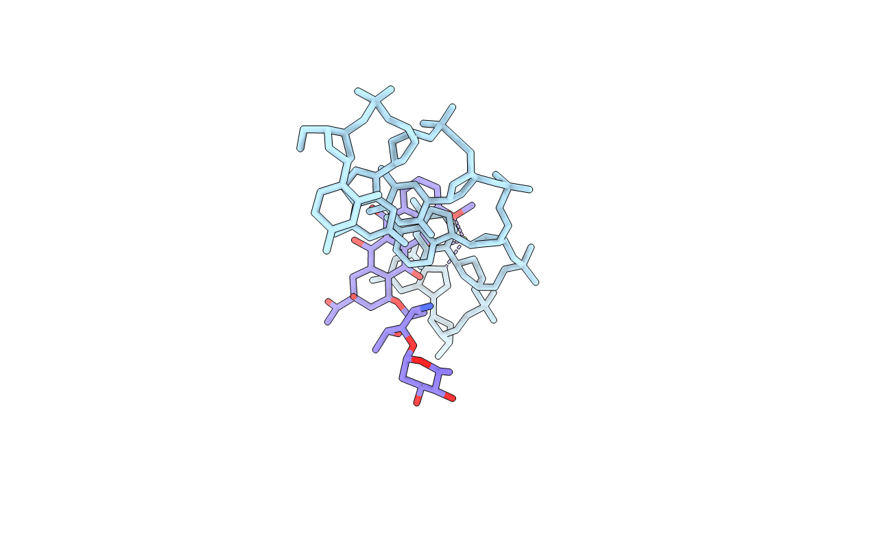 1D36 image
