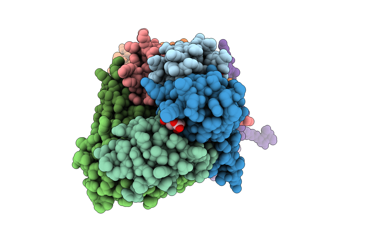 1D3B image