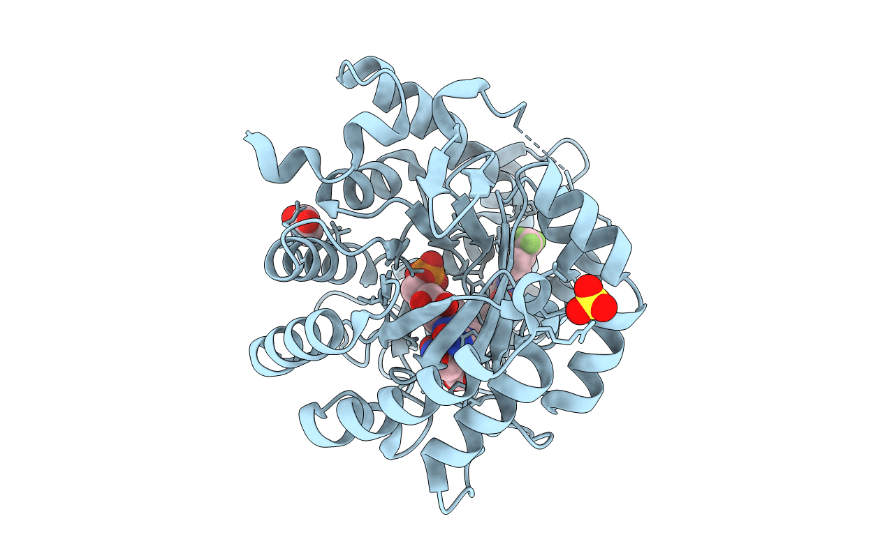 1D3H image