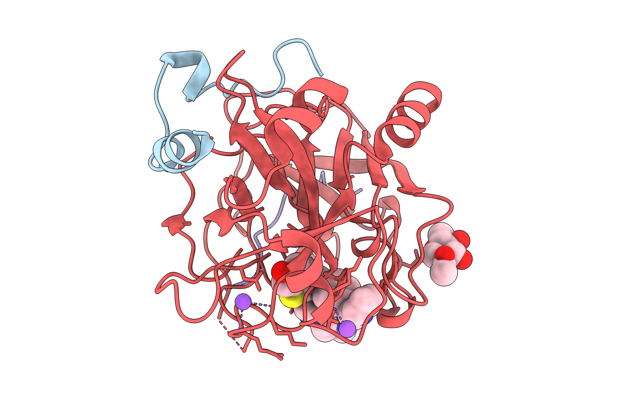 1D3P image