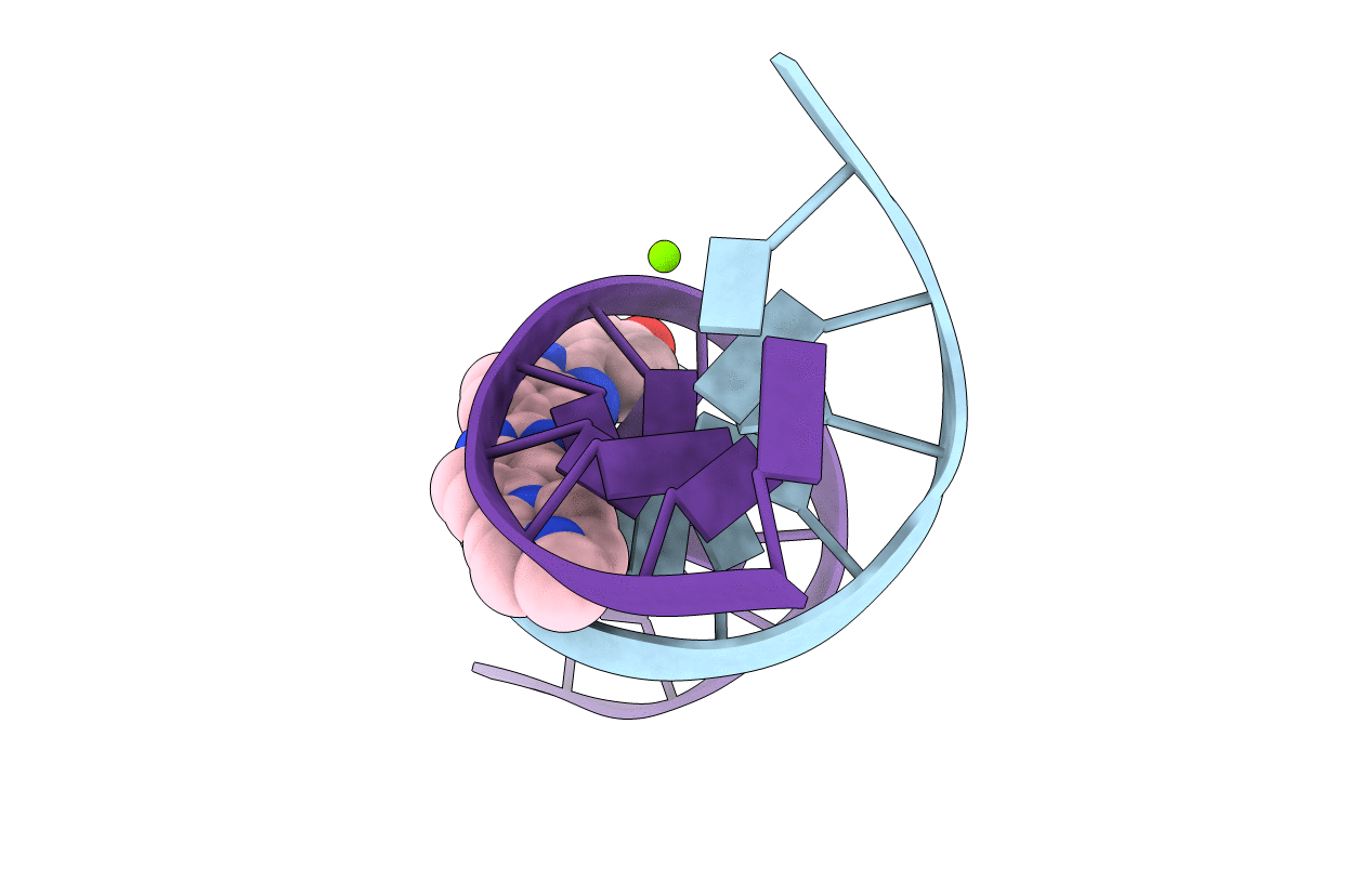1D43 image