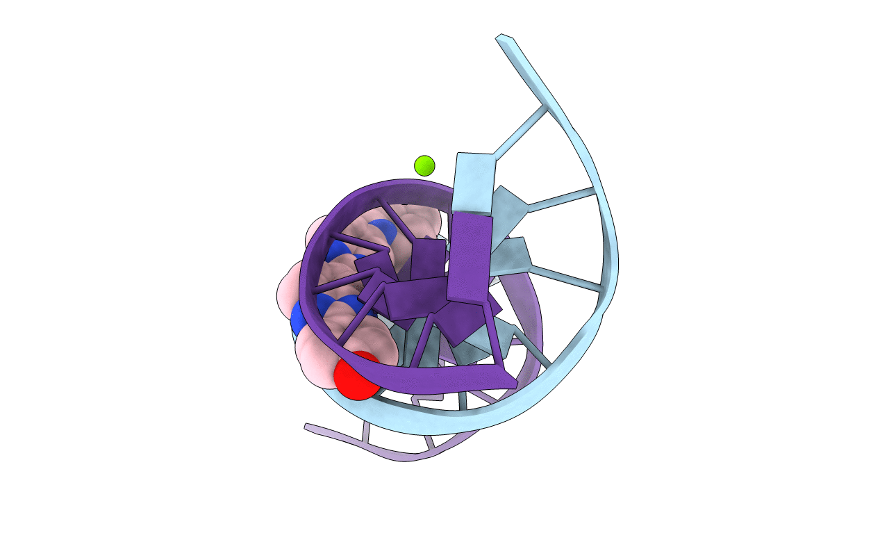 1D44 image