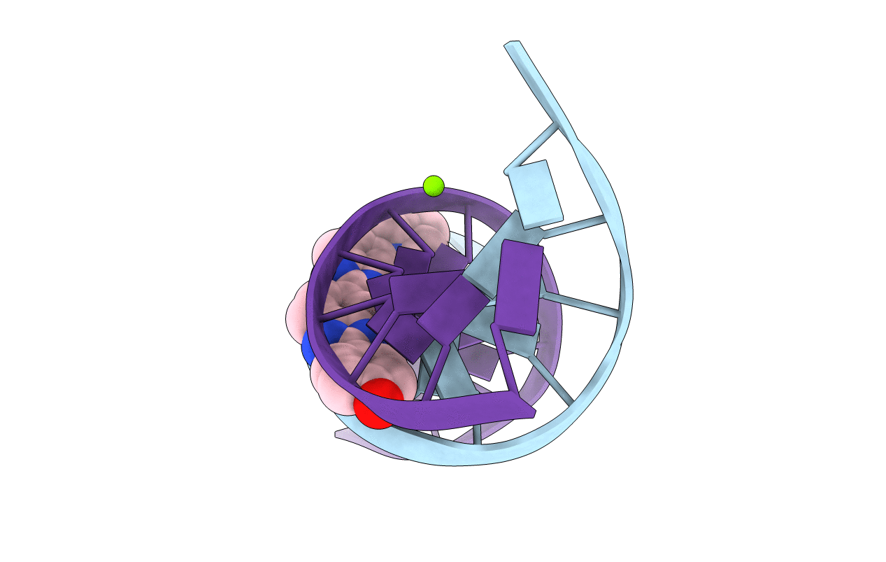 1D45 image