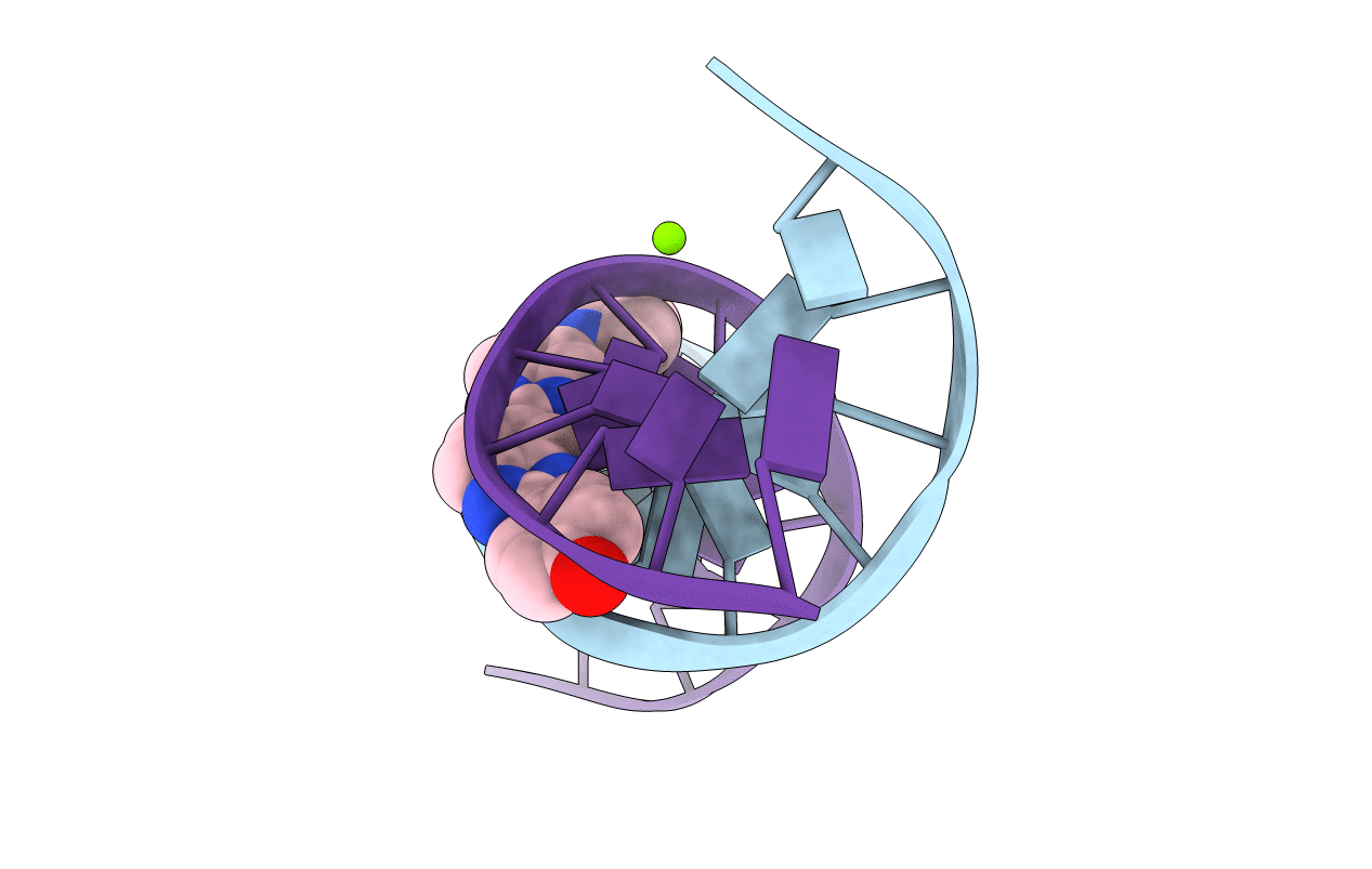 1D46 image
