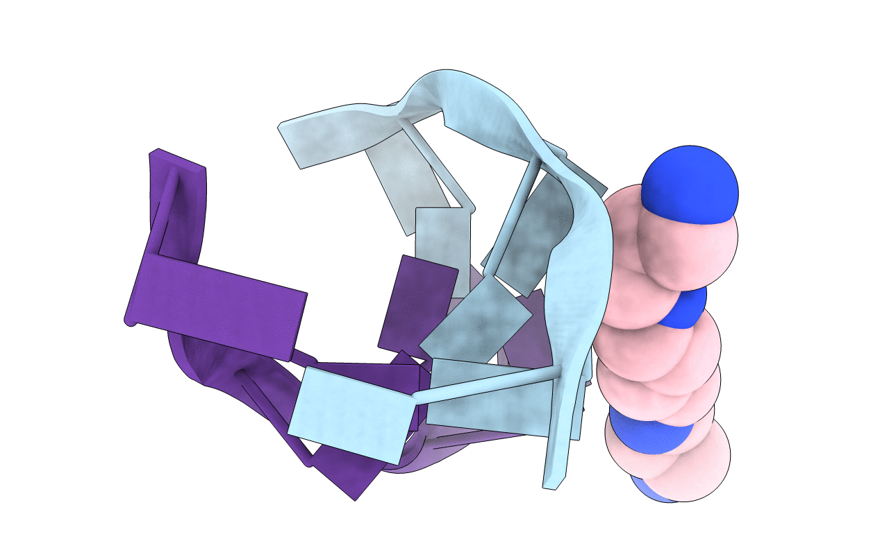 1D48 image