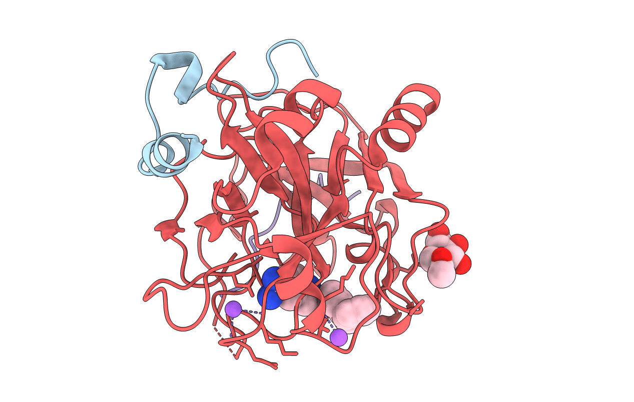 1D4P image