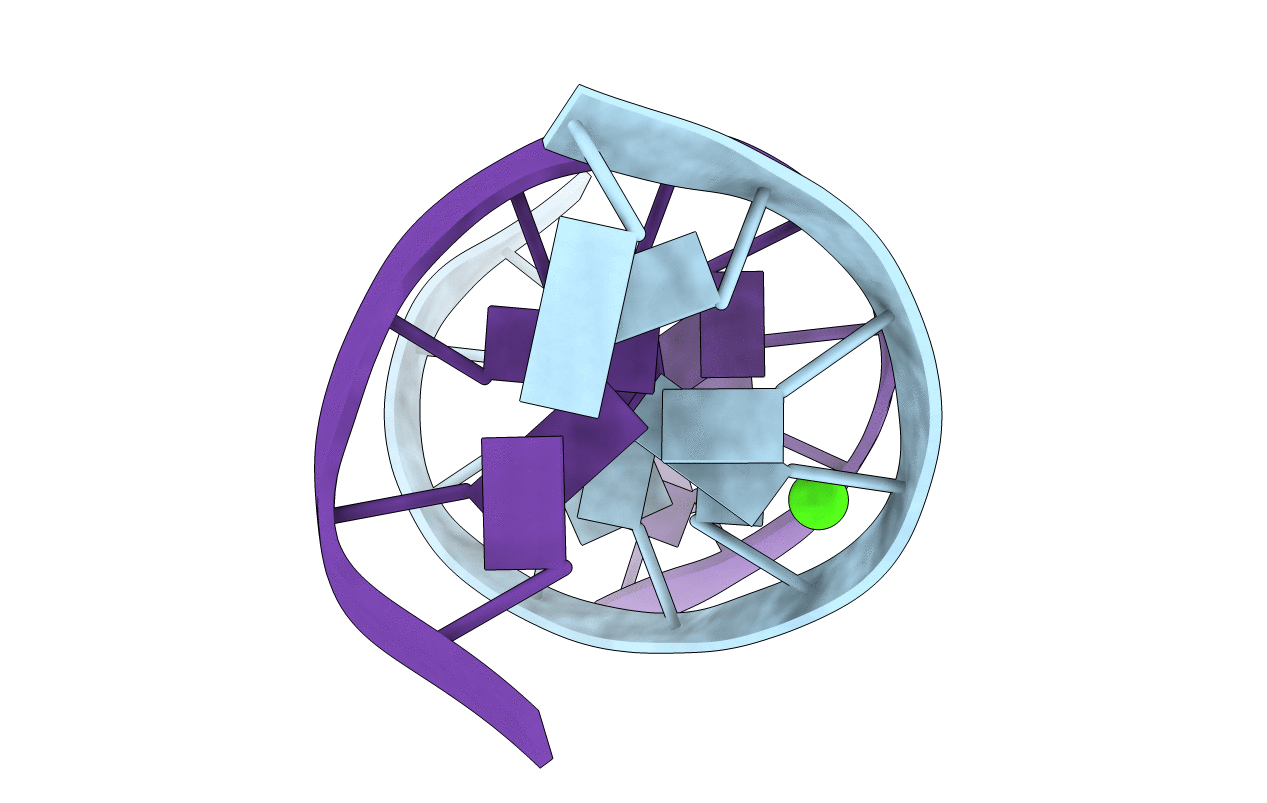 1D56 image